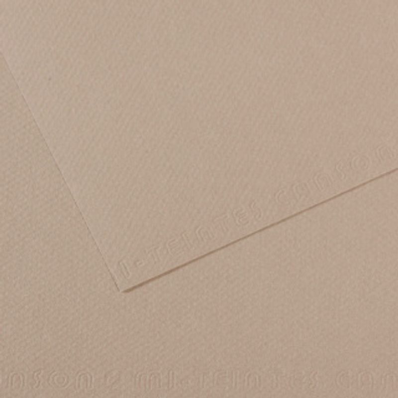 Canson Mi-teintes 160g 50x65 122 Flannel grey, värikartonki