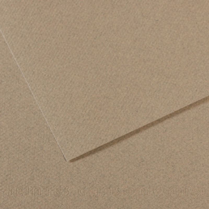 Canson Mi-teintes 160g 50x65 429 Felt grey, värikartonki