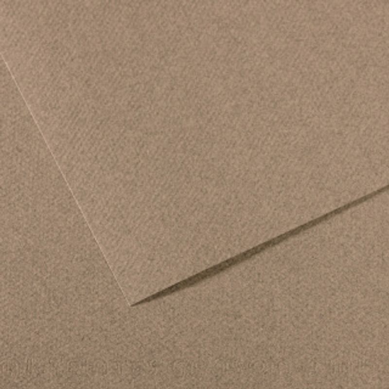 Canson Mi-teintes 160g 50x65 431 Steel grey, värikartonki