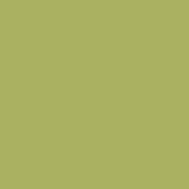 WN Promarker Marsh green (G136) x
