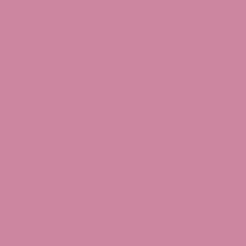 WN Promarker Dusky rose (R327)