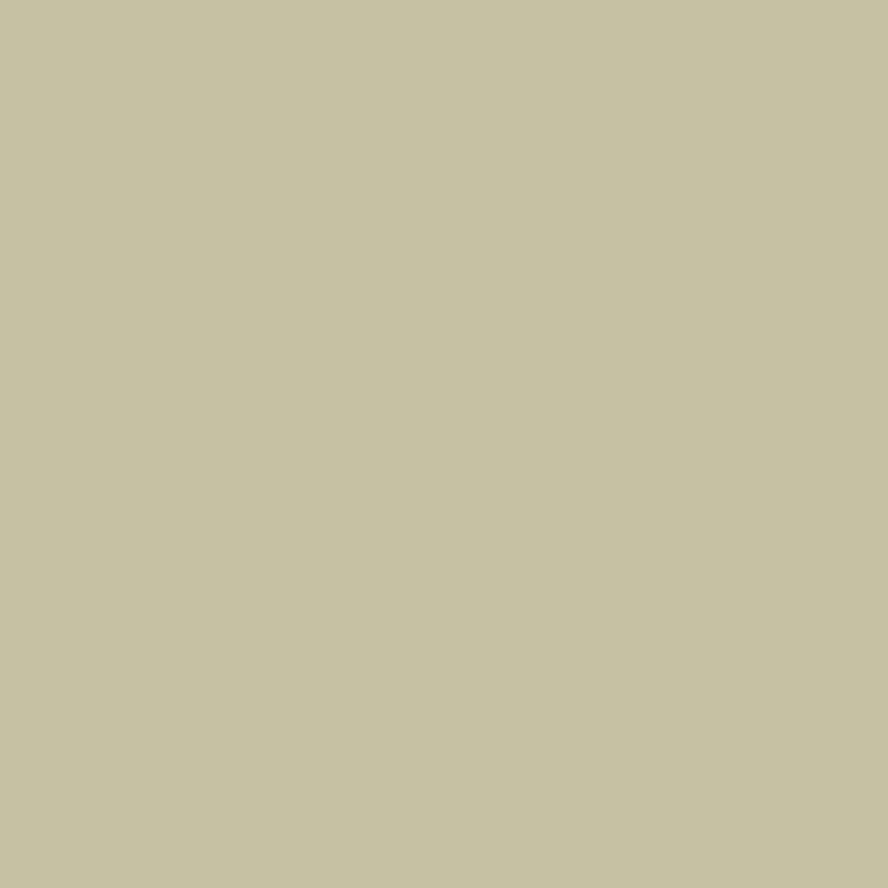 WN Promarker Khaki (Y616)