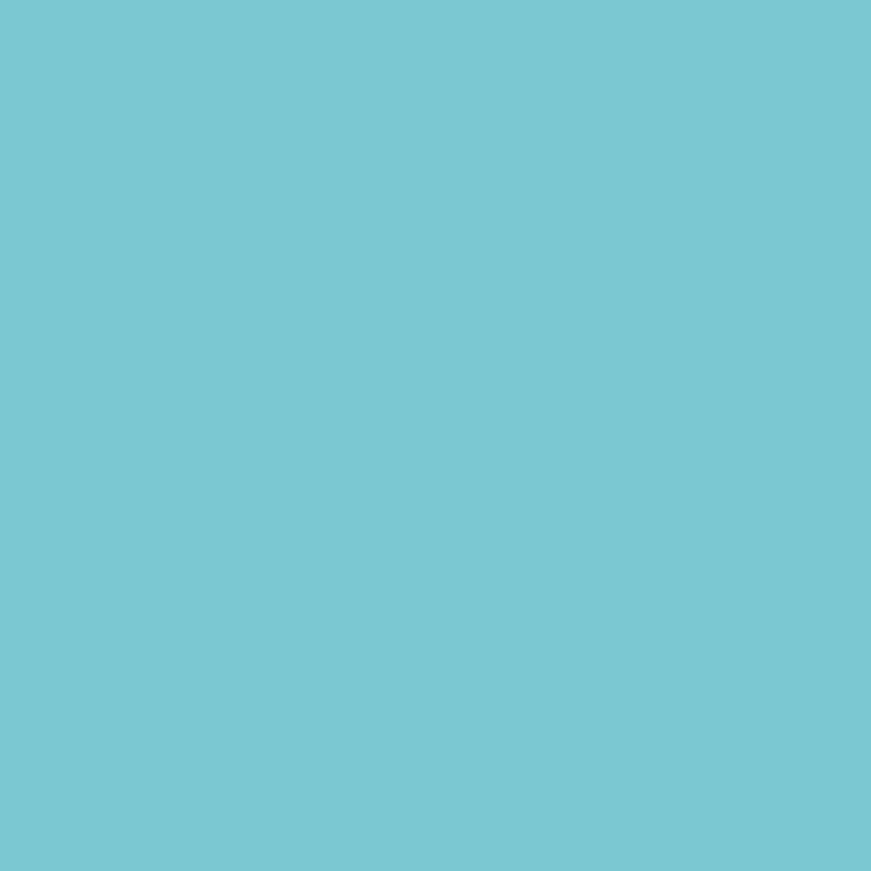 WN Promarker Duck egg (C528)
