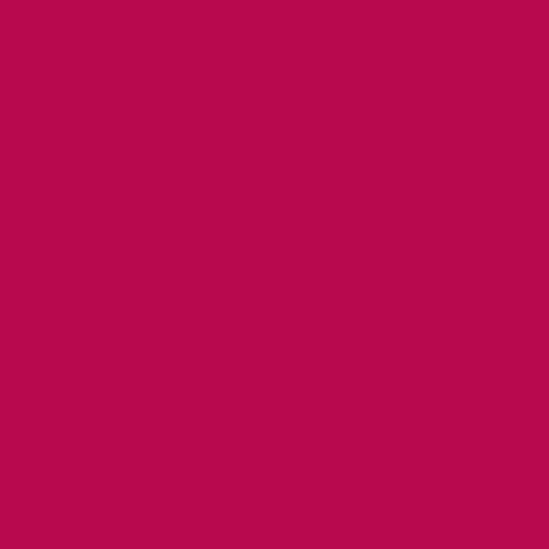 WN Promarker Cardinal red (R244)