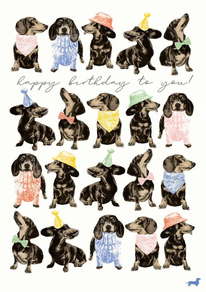 2-osainen kortti The Art File - Frank Happy Birthday