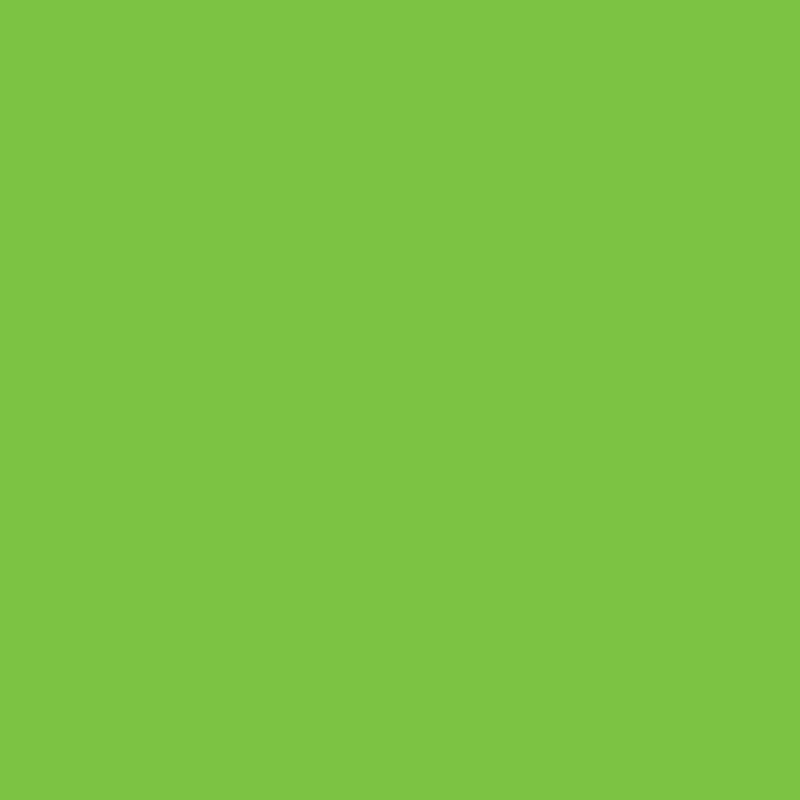 WN Promarker Bright green (G267) x