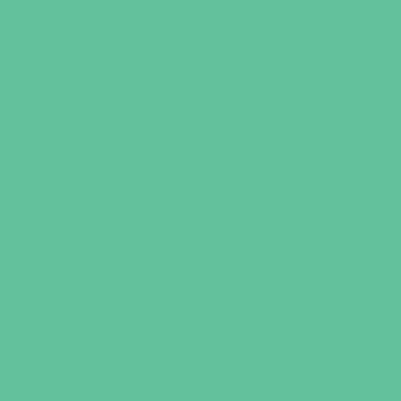 WN Promarker Mint green (G637) x