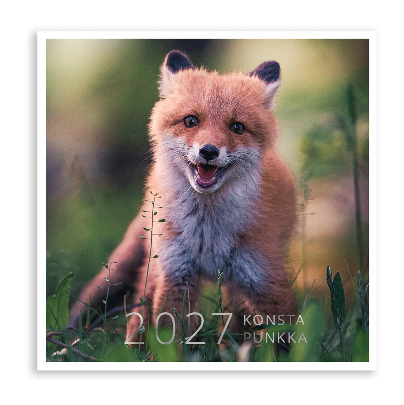 Seinäkalenteri 20x20cm Putinki - Konsta Punkka 2027