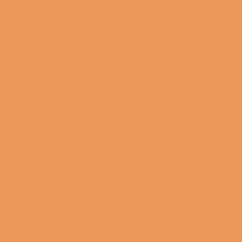 WN Promarker Ginger (O136)