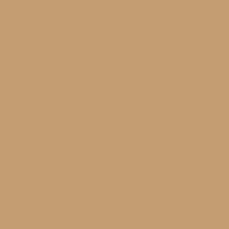 WN Promarker Caramel (O727)