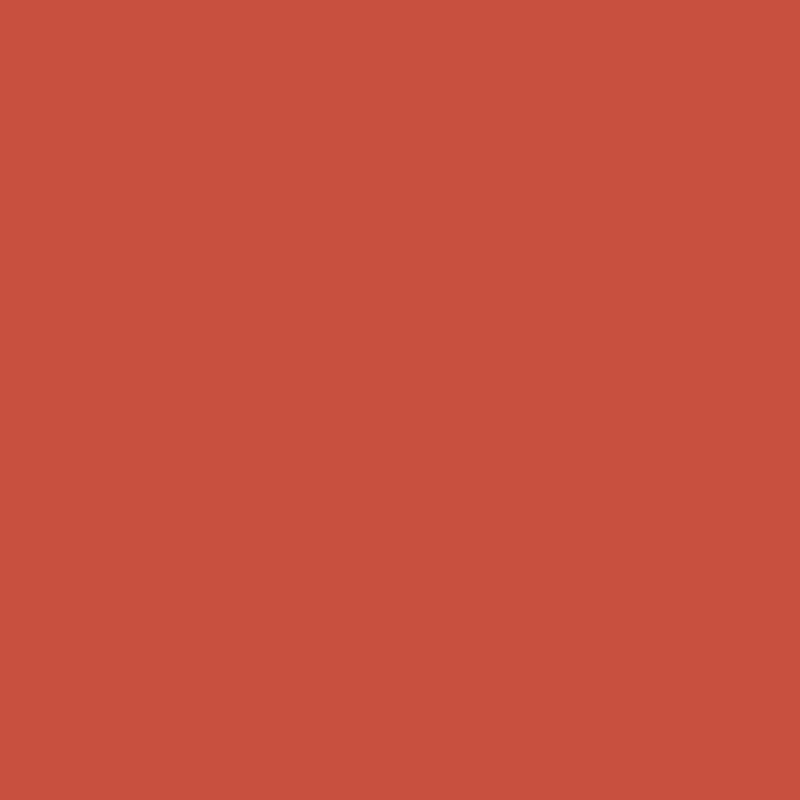 WN Promarker Burnt orange (R946)