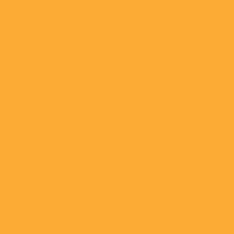 WN Promarker Gold (O555)