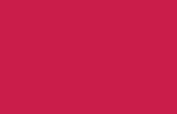 Liquitex Spray 400ml 0110 Quinacridone crimson (1), taiteililjaspraymaali