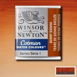 WN Cotman 1/2 (1,7ml) 074 Burnt Sienna, akvarellivärinappi x