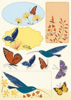 Tarrat Roger la Borde - Hummingbird