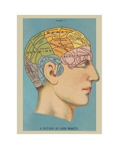 Juliste Cavallini - Phrenology