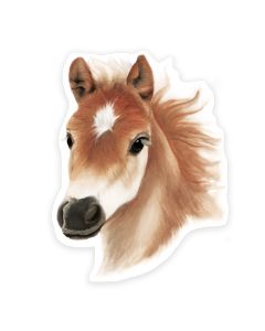 Vinyylitarra Putinki Henna Adel - Varsa