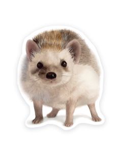 Vinyylitarra Putinki Henna Adel - Siili