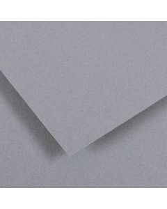 Canson Ingres vidalon 100g 50x65 39 Sky grey, pastellipaperi