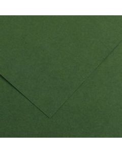 Canson Iris Vivaldi 240g 50x65 31 Fir tree, värikartonki