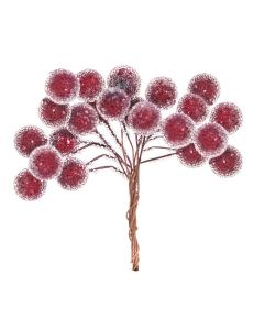 DPC Punaiset huurremarjat 24kpl