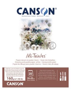 T Canson Mi-Teintes 24x32 cm 160G Pad 20 SH