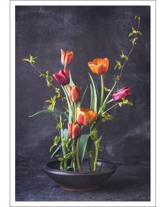 Postikortti Kreetta Järvenpää - Spring tulips