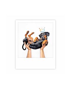 Postikortti Pickmotion - King dachshund