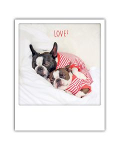 Postikortti Pickmotion - Love, koirat nukkuu