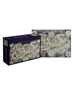 Palapeli 1000 palaa Interdruk - World map