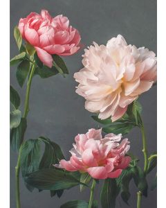 2-osainen kortti Kreetta Järvenpää - Coral Crush, 2021