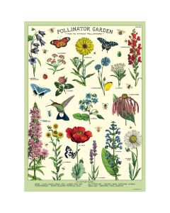 Juliste Cavallini - Pollinators