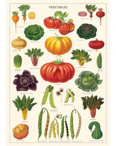 Juliste Cavallini - Vegetable Garden