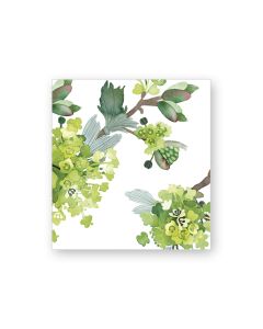 Pakettikortti Putinki Pentik - Vaahtera