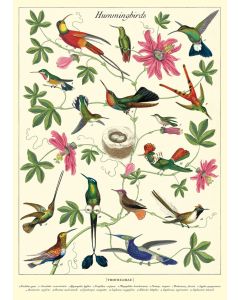 Juliste Cavallini - Hummingbirds
