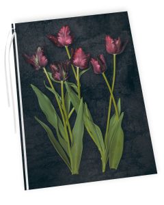 Adressi Kreetta Järvenpää - Tulppaanit