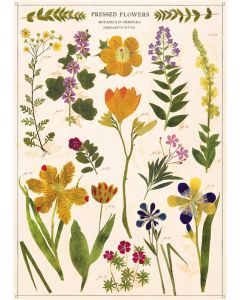 Juliste Cavallini - Pressed Flowers