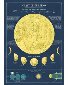 Juliste Cavallini - Moon chart