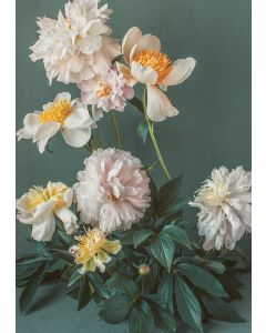 2-osainen kortti Kreetta Järvenpää - White Petals