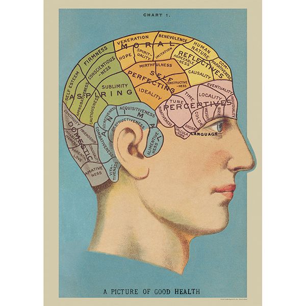 Juliste Cavallini - Phrenology