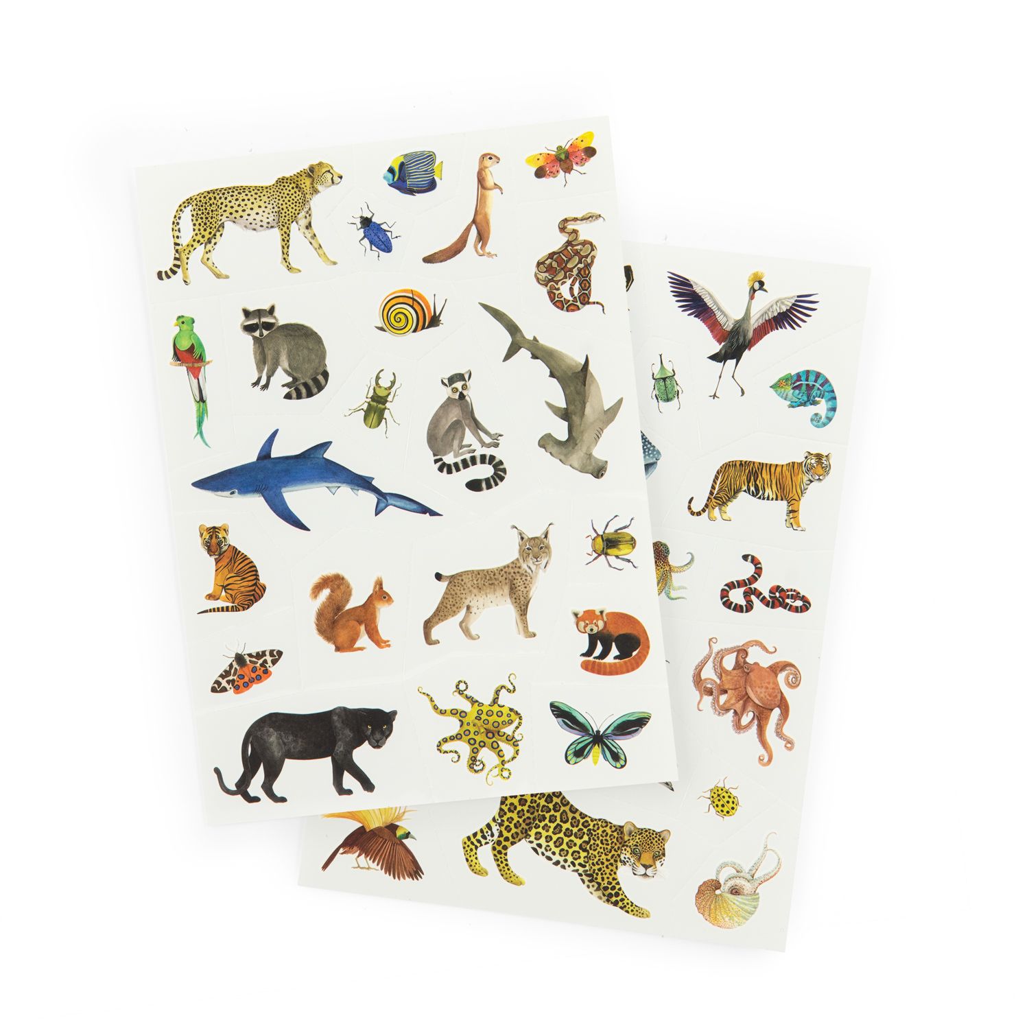 TATUOINTI MOULIN ROTY - Tout Autour du Monde