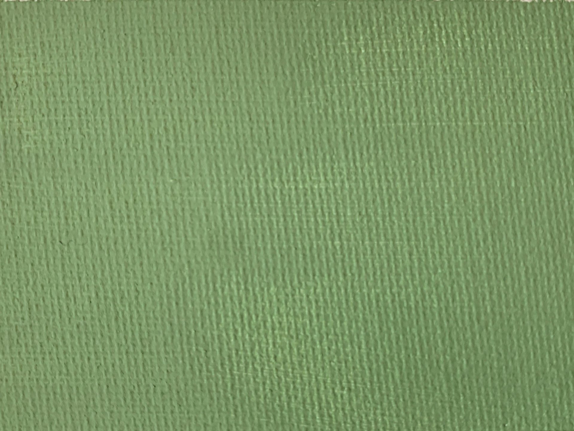 Vinyylimaali 75 ml LB Flashe BIO Pale Olive Green