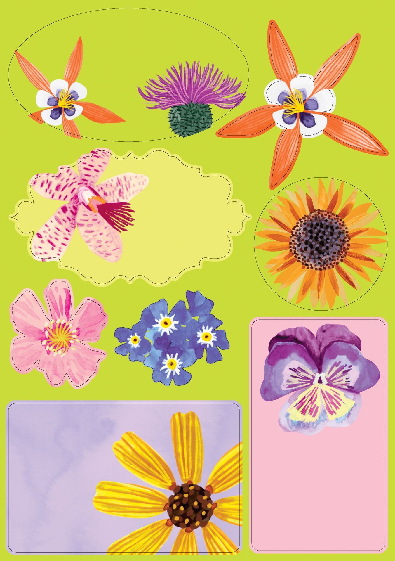 Kirjepaperisetti Roger la Borde - Floral Supernova