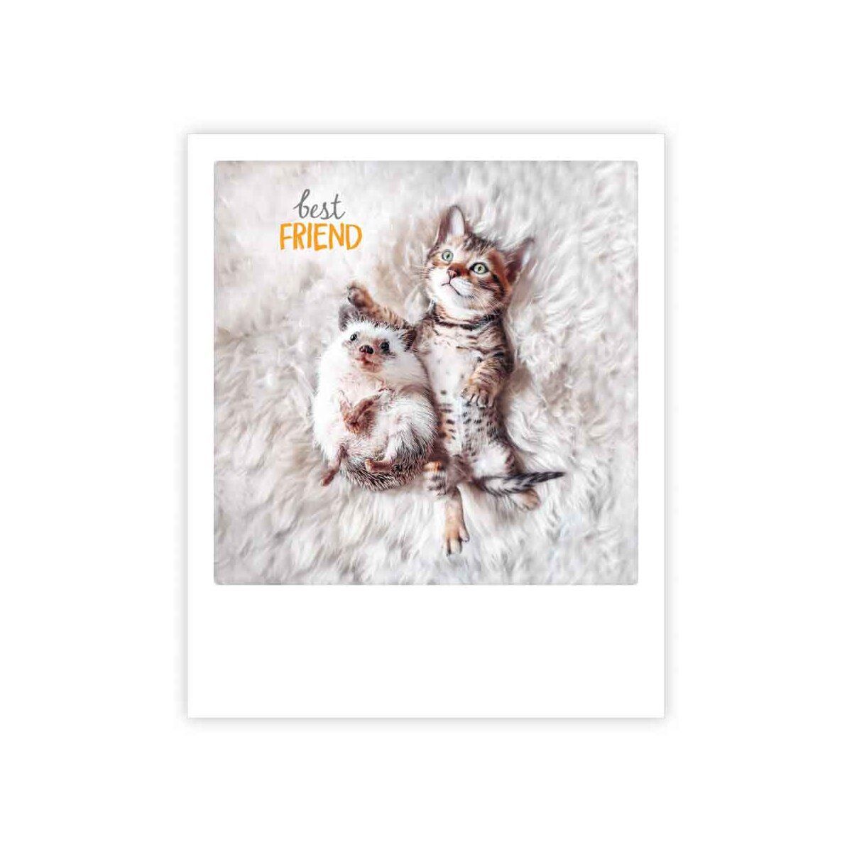 Postikortti Pickmotion - Best Friend, kissa