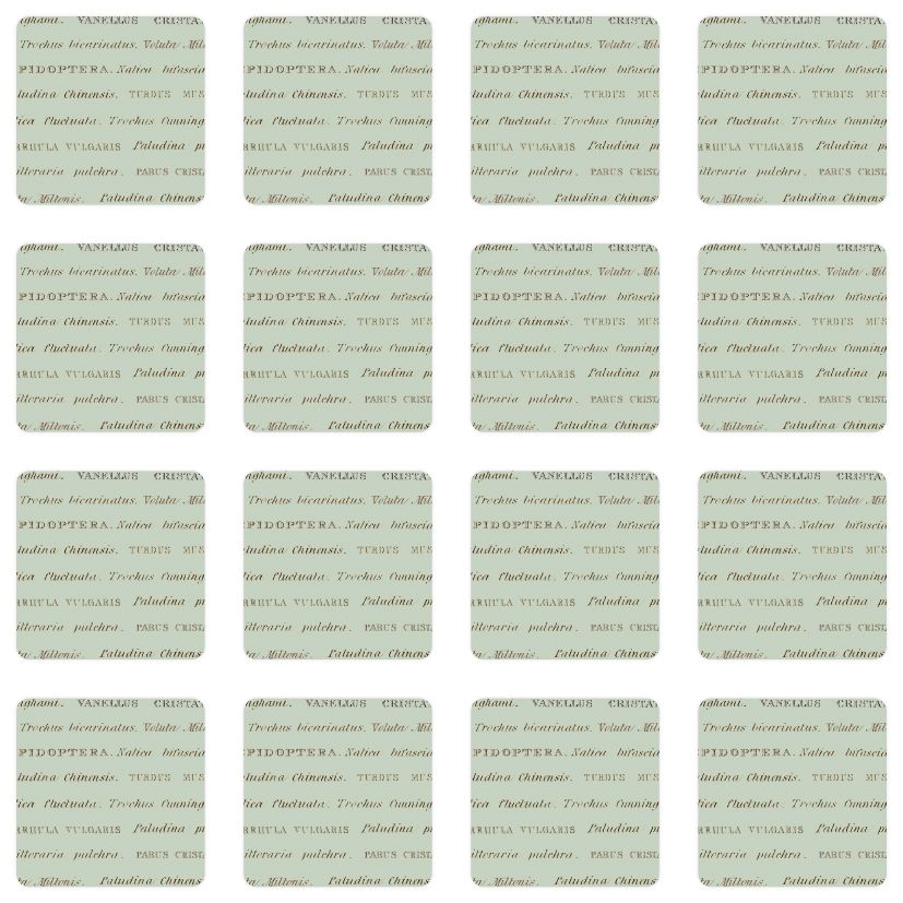 Muistipeli Putinki John Nurminen - Luonto