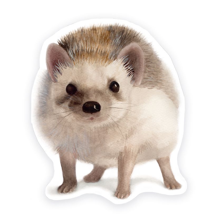 Vinyylitarra Putinki Henna Adel - Siili