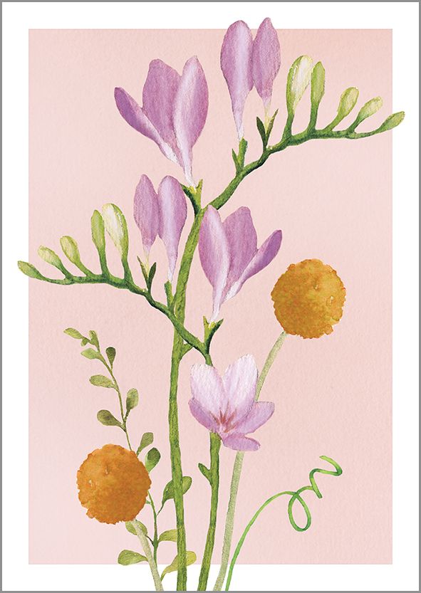 Postikortti Henna Adel - Freesia