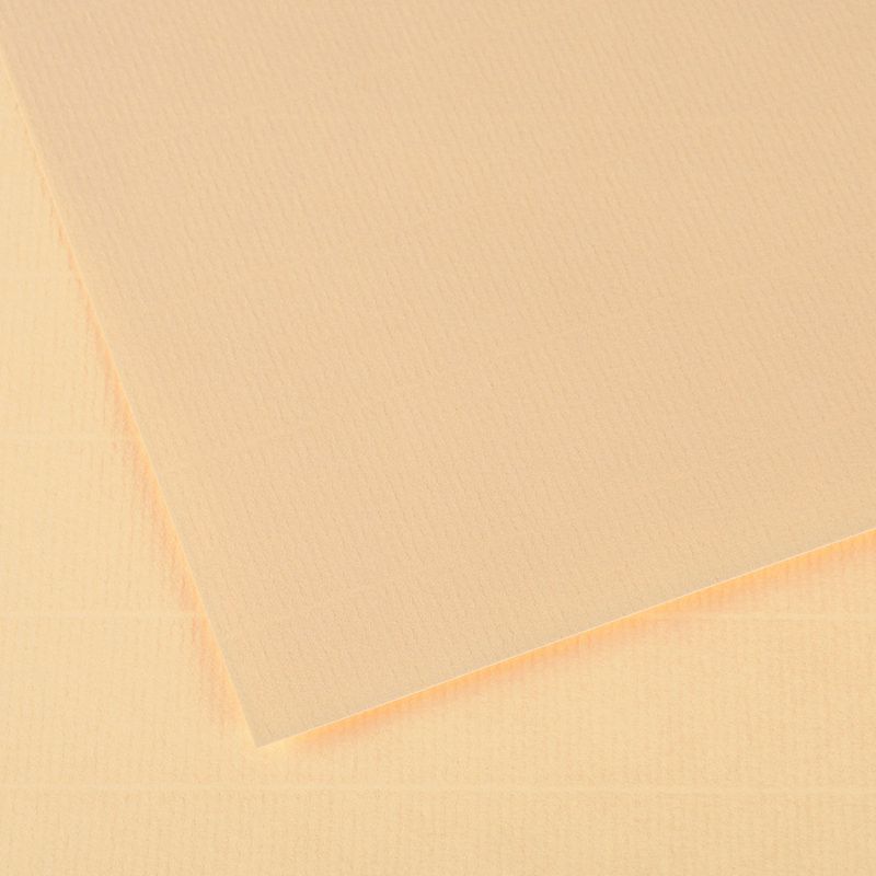 Canson Ingres vidalon 100g 50x65 48 Cream, pastellipaperi