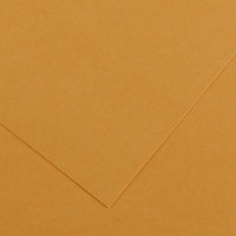 Canson Iris Vivaldi 240g 50x65 32 Leather // värik, värikartonki