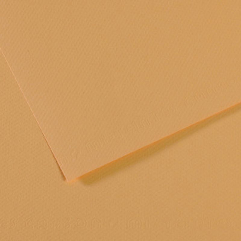 Canson Mi-teintes 160g 50x65 340 Oyster, värikartonki